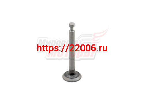 Клапан впускной мотокосы 4-х тактн. GBC-31F