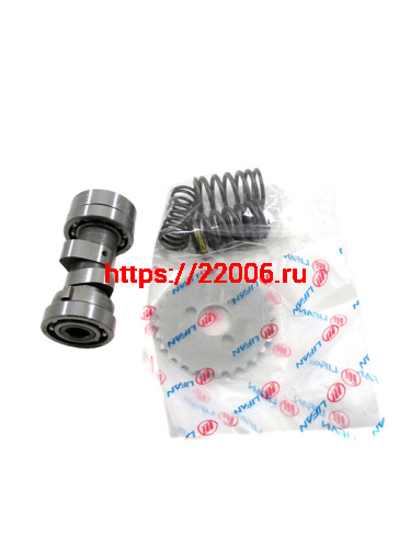 Распредвал со звездочкой и пружинами клапанов LF120
