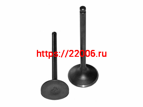 Клапана комплект впускной, выпускной RAPTOR 200cc (нового образца с 2013 г.) Клапана комплект впускной, выпускной RAPTOR 200cc (нового образца с 2013 г.)